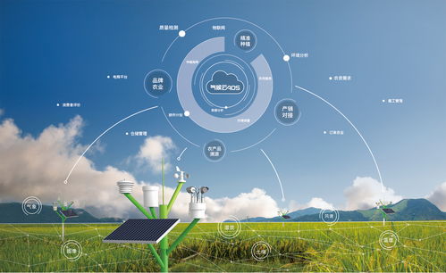 揭秘大气候 如何用“大气农场”链接优质产区与2000万个家庭